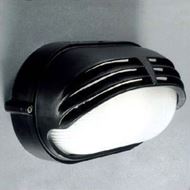 Picture of Wall and Ceiling Light