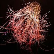 Picture of Fiber Optics