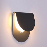 Picture of Wall and Ceiling Light